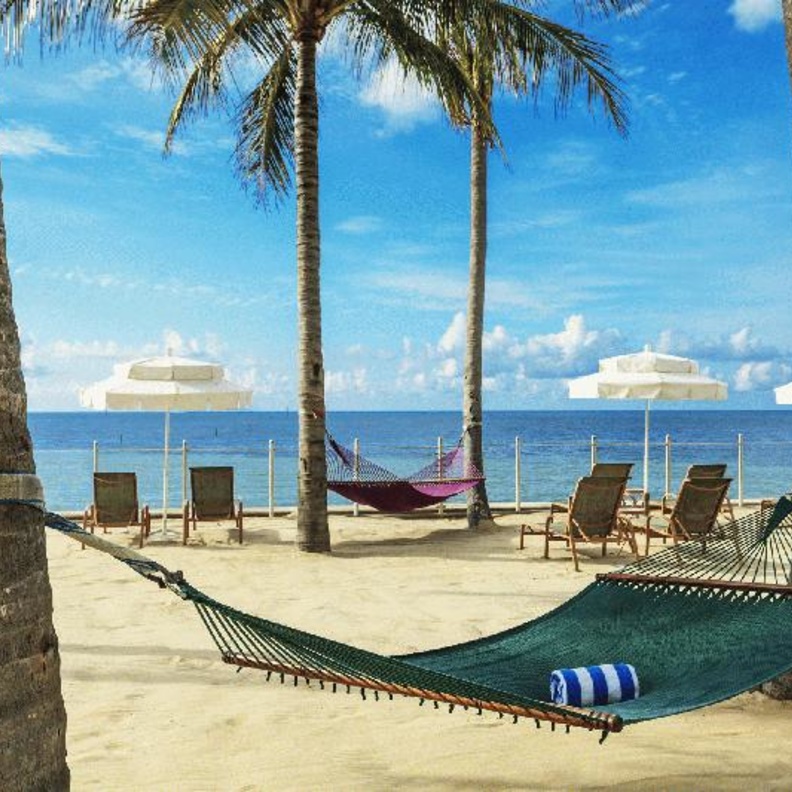 منتجع Southernmost Beach Resort Key West  –  إطلالة على الطبيعة  Southernmost Beach Resort Key West - Nature View