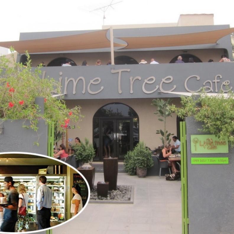 منصة العرض المميزة في ذا لايم تري