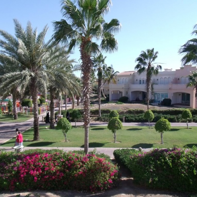 منظر من قرية النخيل