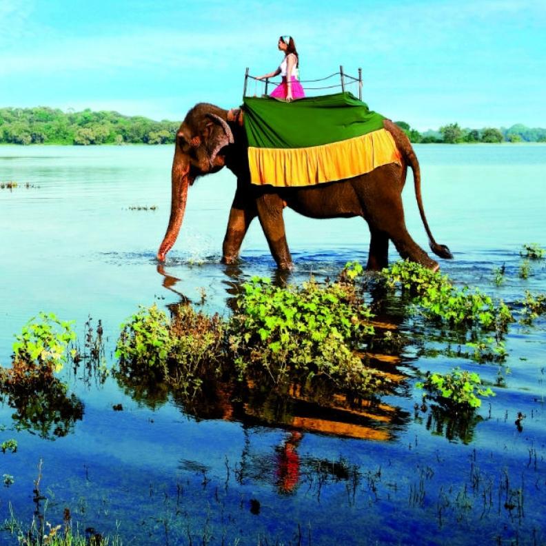 تمتع بجمال طبيعة البلاد