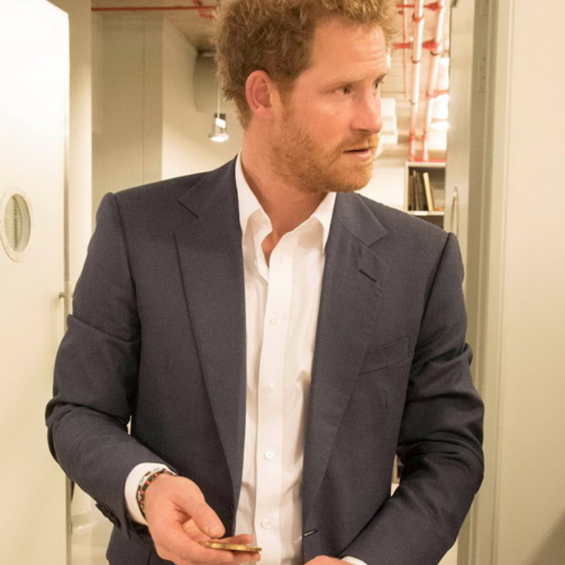 هاري يتجول بالمعرض