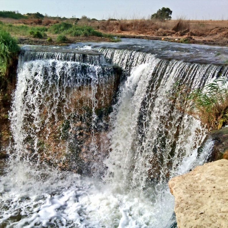 وداي الريان
