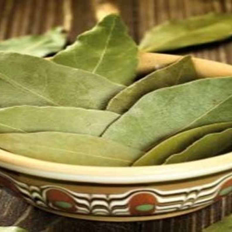 فوائد اوراق الغار للصحة عديدة