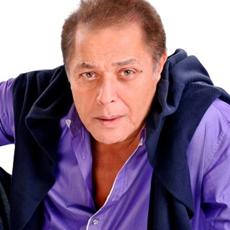 محمود عبد العزيز