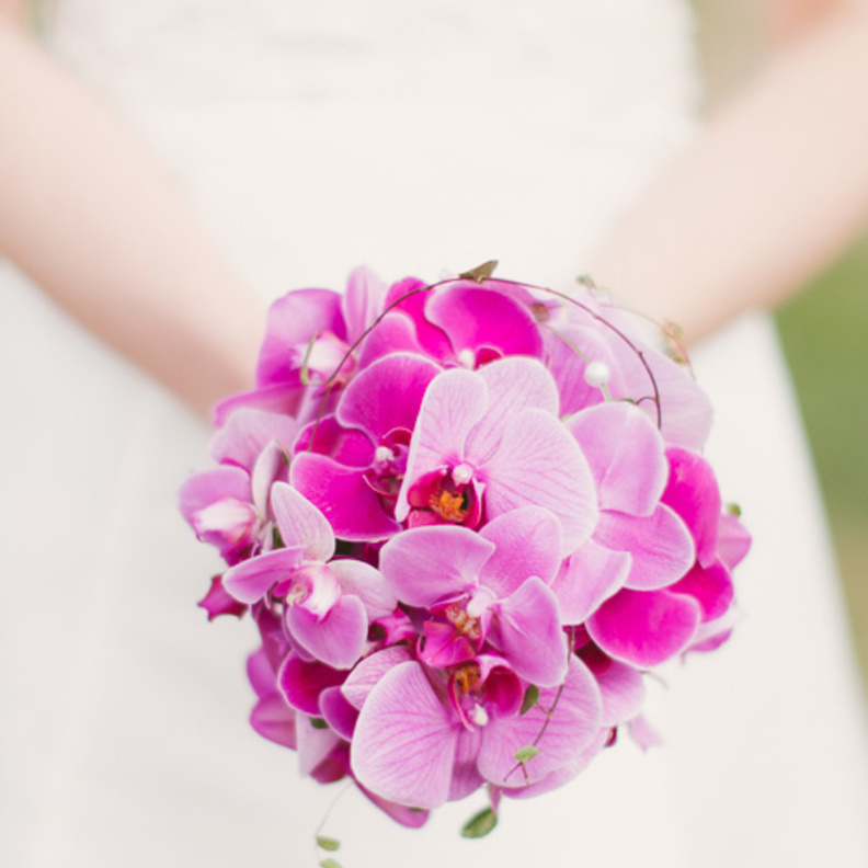  زهرة القرنفل