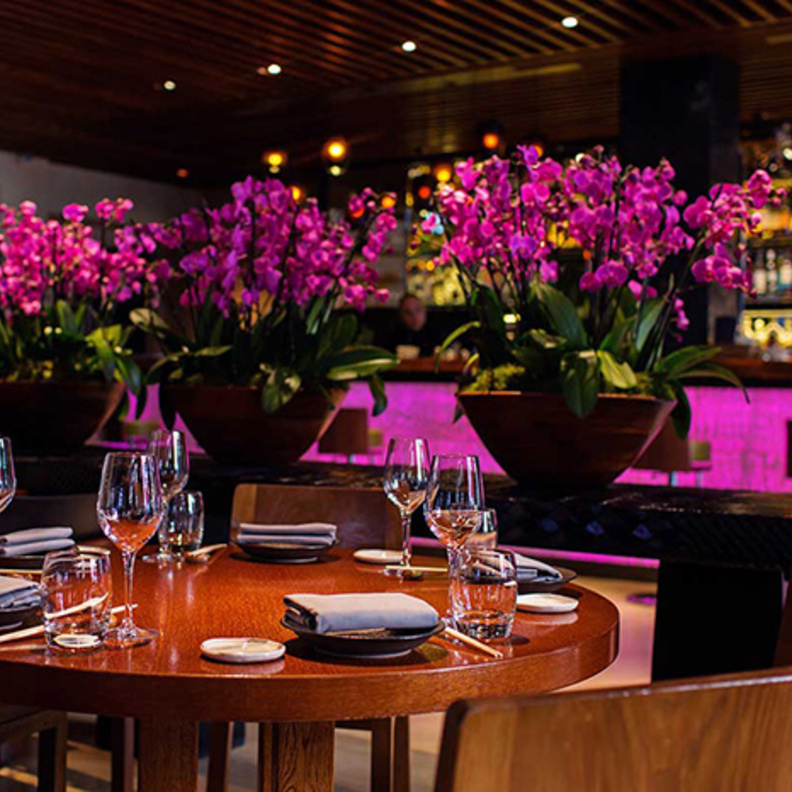 "نوفيكوف" من لندن إلى دبي !