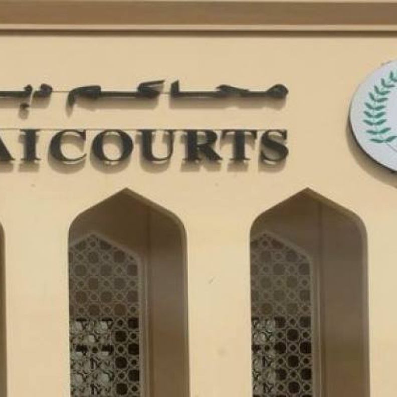 معاقبة زائر لمس يد شرطية بمترو دبي