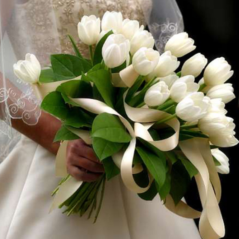  رونق التوليب لا مثيل له