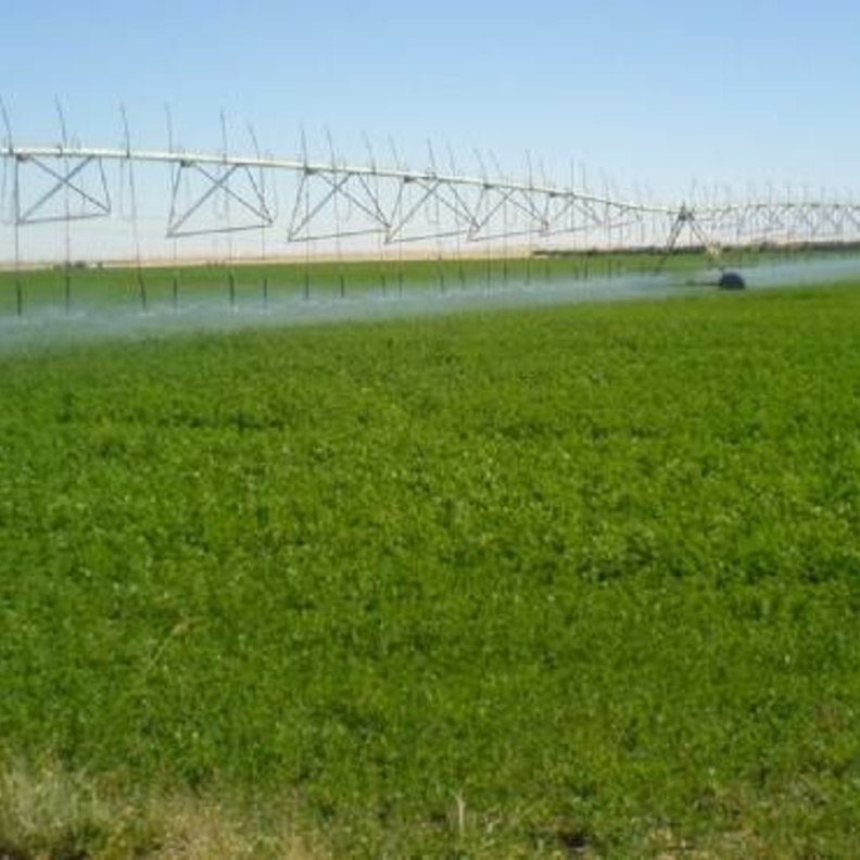 وزارة البيئة السعودية أعلنت حظر 7 منتجات لارتفاع نسبة المبيدات بها