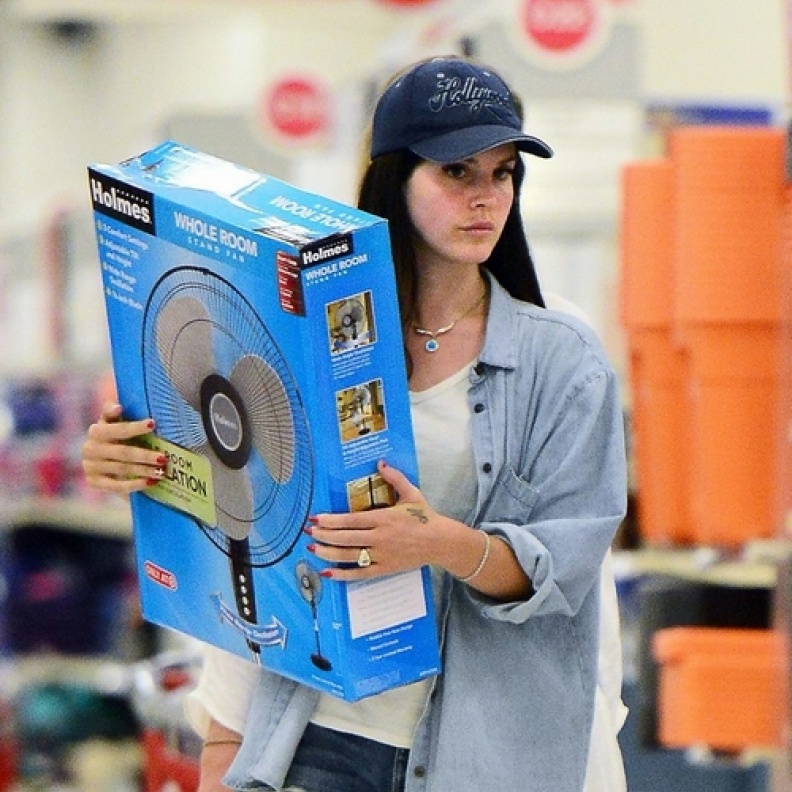 يبدو أن الطقس حار جداً في لوس أنجلوس الأمر الذي دفع لانا ديل راي لشراء هذه المروحة