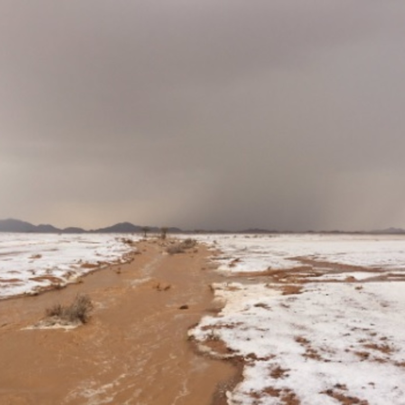 طقس بارد في السعودية