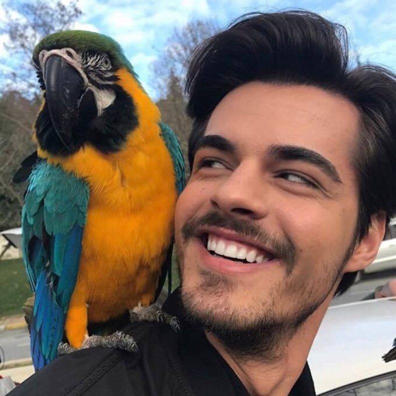 صورة ظريفة لبطل مسلسل بنات الشمس بريك أتان مع البغبغاء