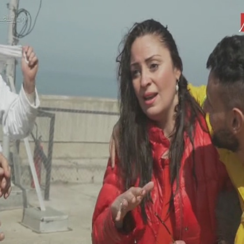 نرمين الفقي