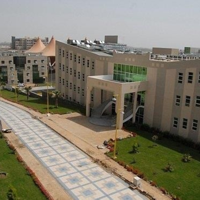 جامعة بيشة
