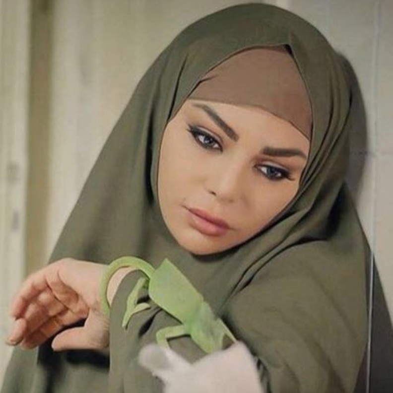 الحرباية هيفاء وهبي