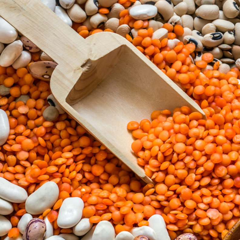 البقول هي الغذاء الأهم للعام 2016