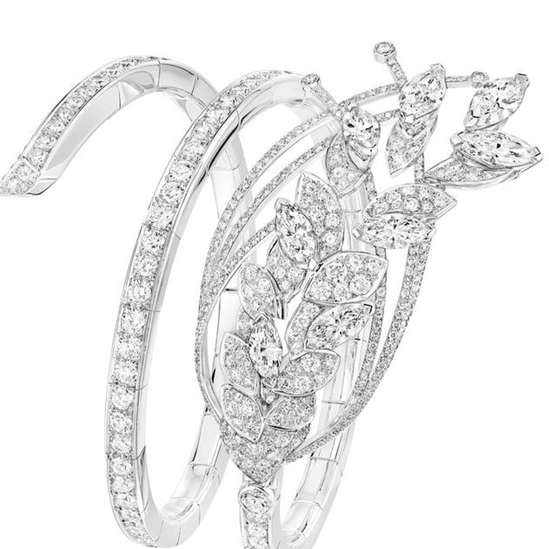 سوار يحمل باقة من السنابل