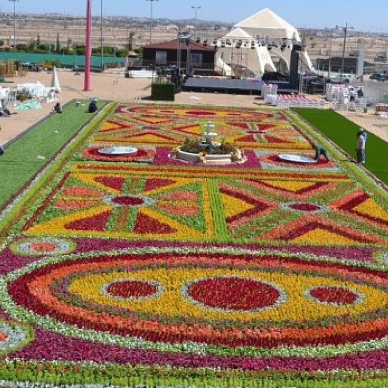 120 ألف وردة لأكبر سجادة زهور