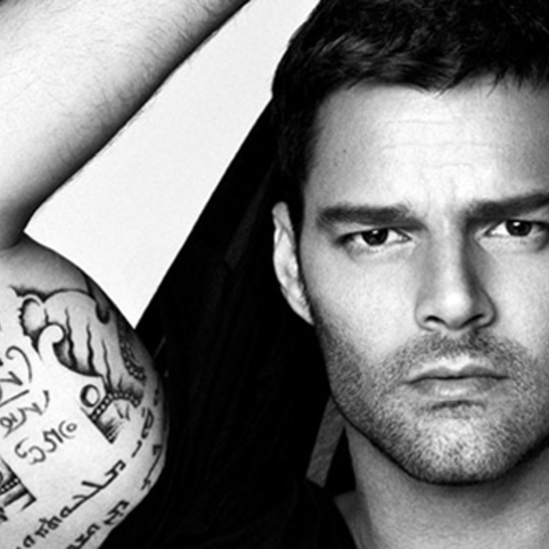 ريكي مارتن يبيع قصره بـ10 ملايين دولار