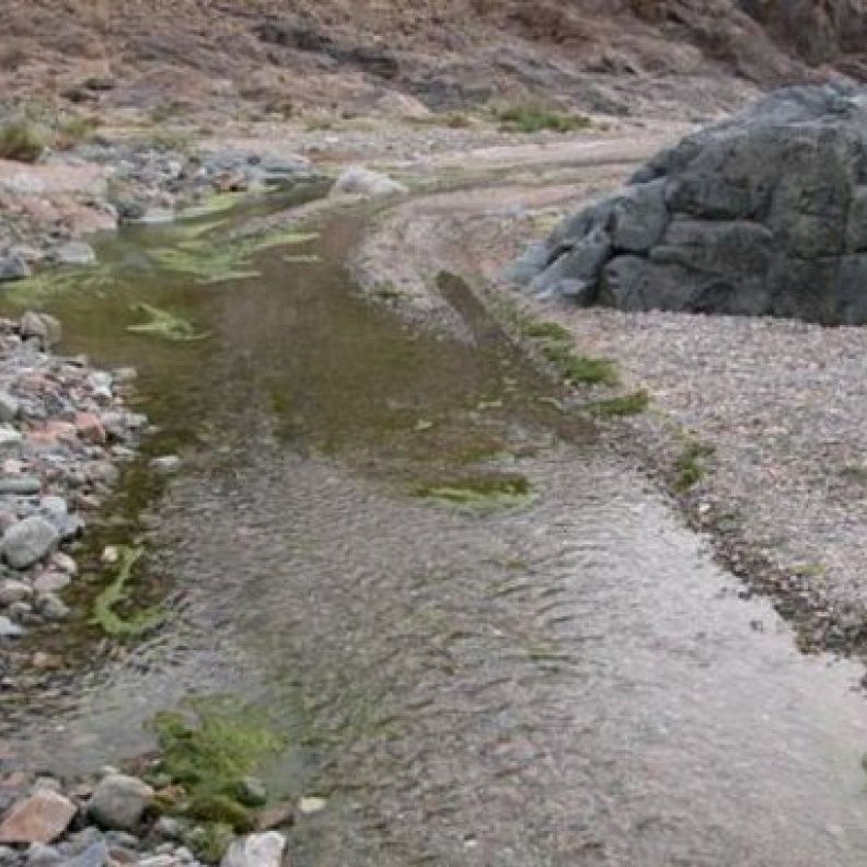 حصر المواقع الأثرية ببني سعد في الطائف 