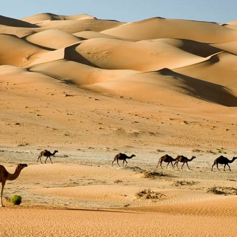 مشاريع جديدة تعزز مكانة دبي السياحية 