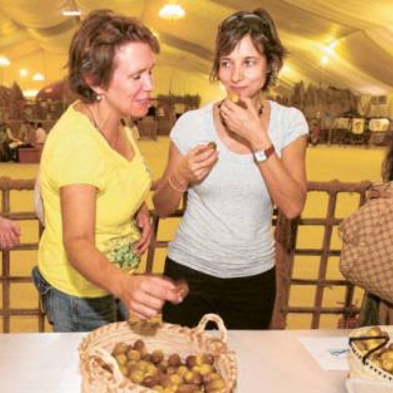 مهرجان البلح الأكبر في العالم
