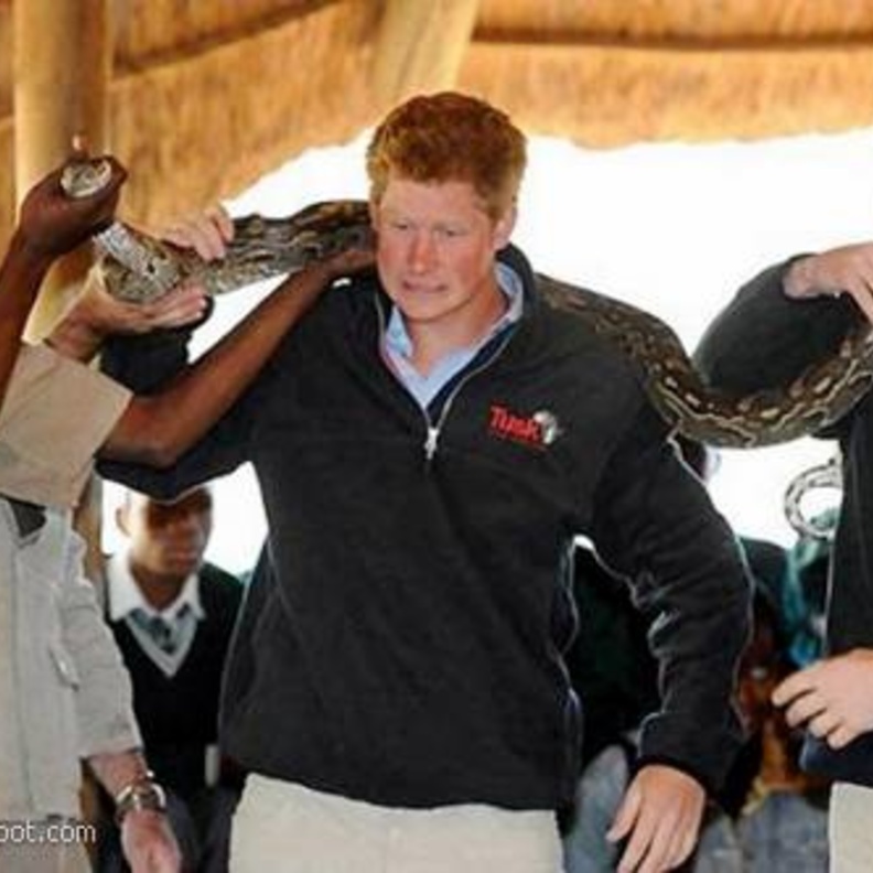 بالصور / ويليام.. تواضع أمير ومحبة شعب 
