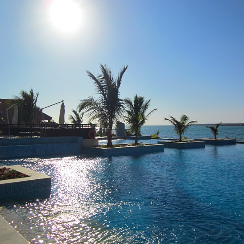 ينبع مرجانة البحر الأحمر