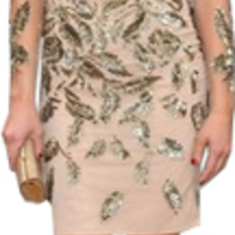 مشاهير بفستانين مطرزة 