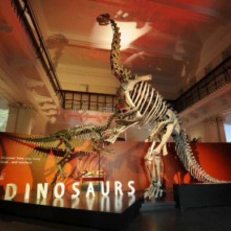 افتتاح متحف الديناصورات في استراليا 