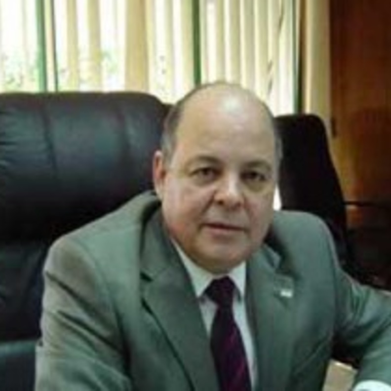 كوكبة من النجوم في مهرجان القلعة الموسيقي