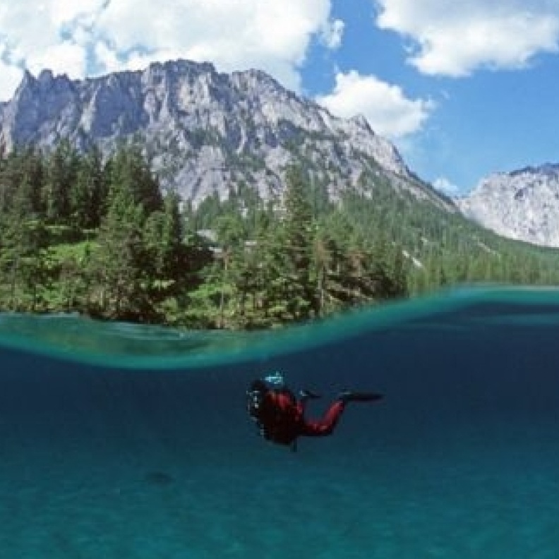 الحديقة الخضراء.. جمال غارق 