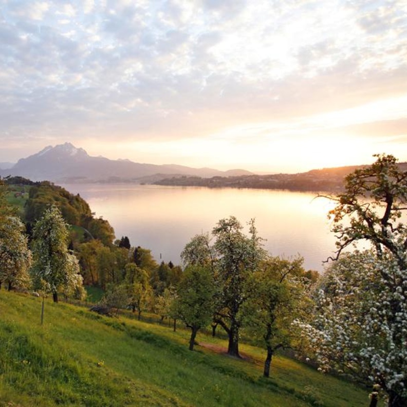 قمة جبال ريجي بسويسرا