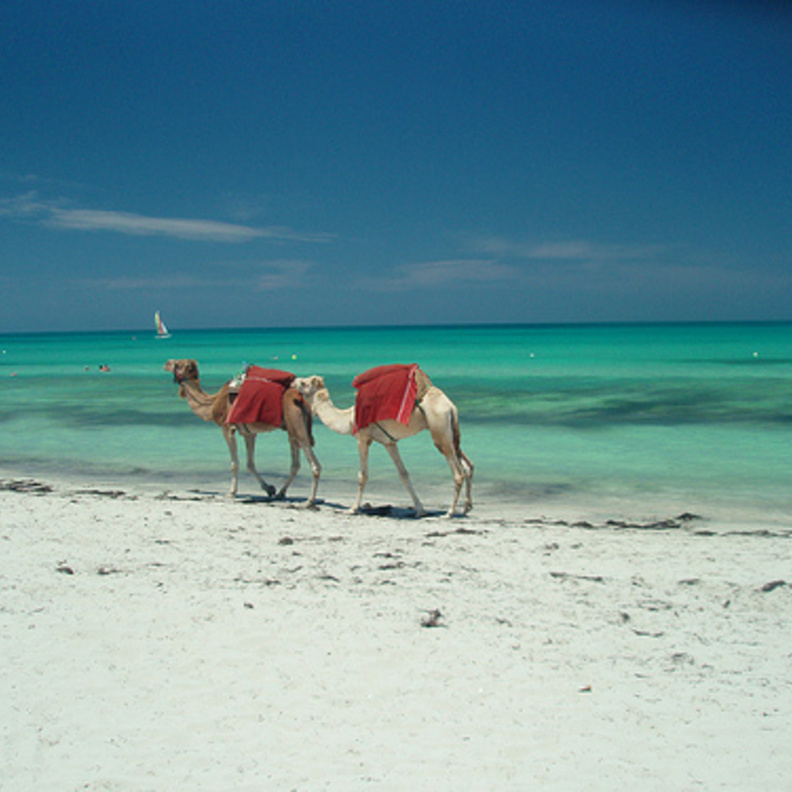 جزيرة جربة في الجنوب التونسي