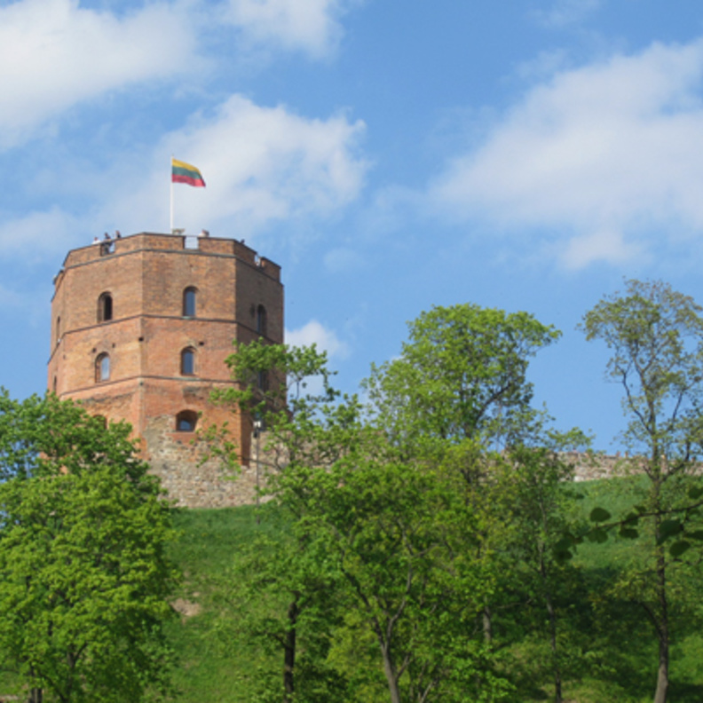 برج قلعة جيديميناس