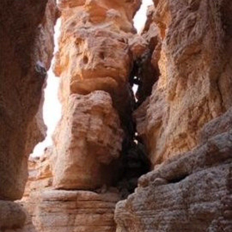 منتزه الثمامة