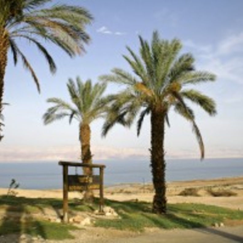 عطلة لا تُنسى في جنوب سيناء