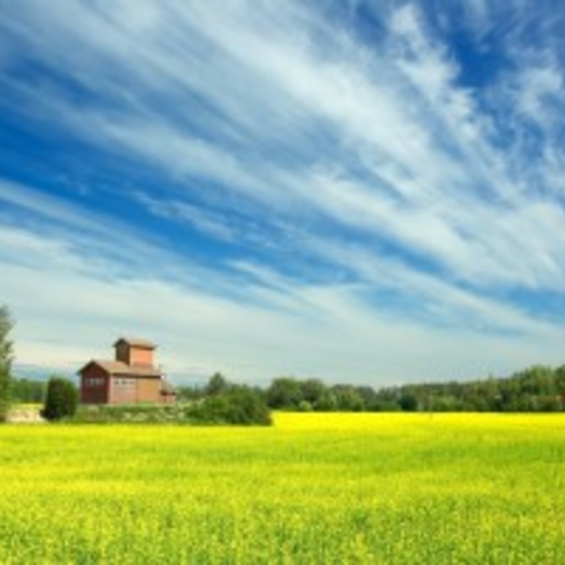 هلسنكي .. عاصمة فنلندا المشمسة