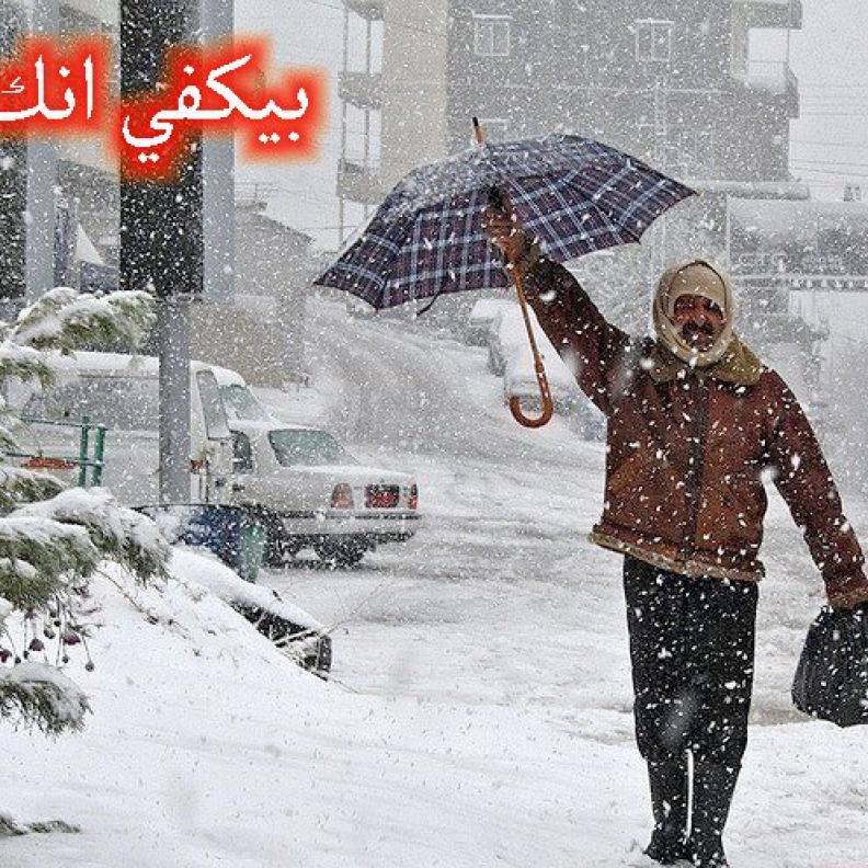 بيكفي انك لبناني