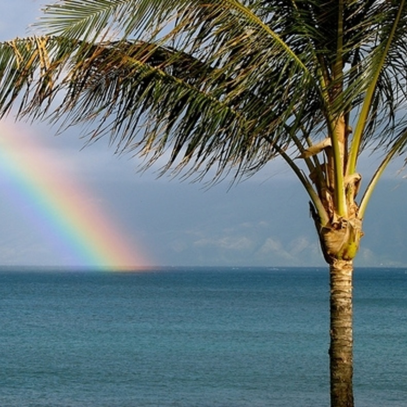 After the Rain