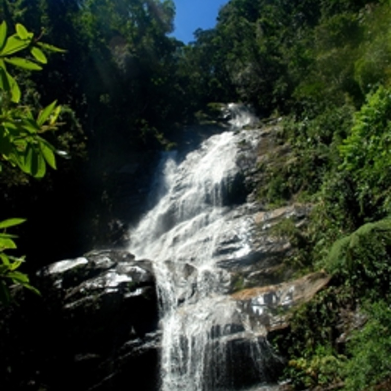 Tijuca National Park