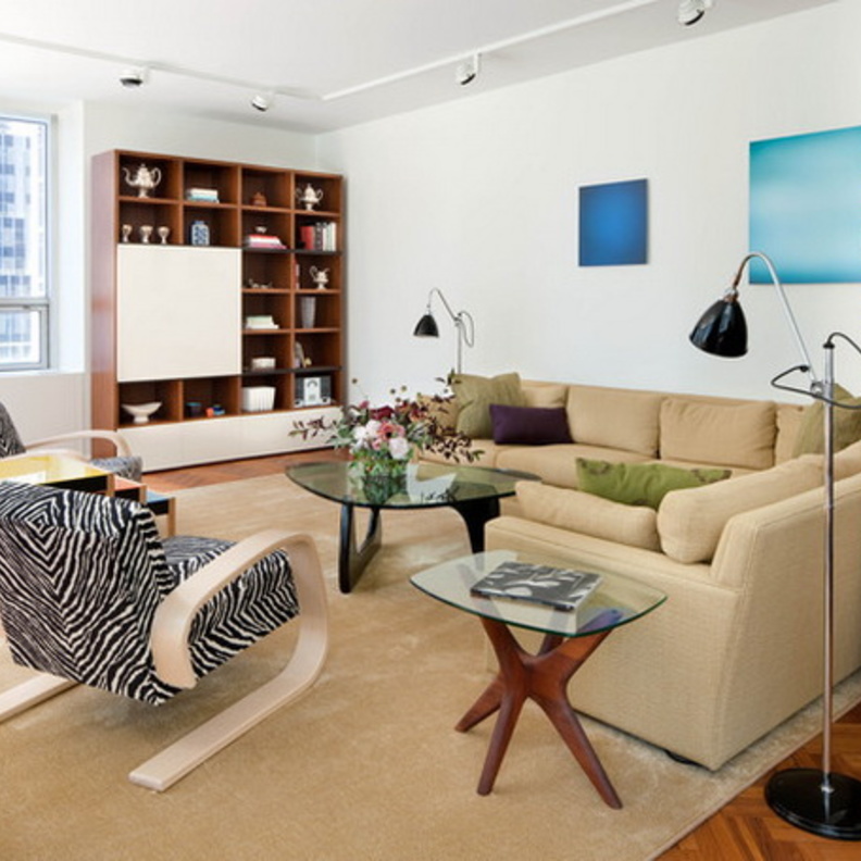 مطبوعات الحمار الوحشي لمسة ديكورية في غرفة معيشة