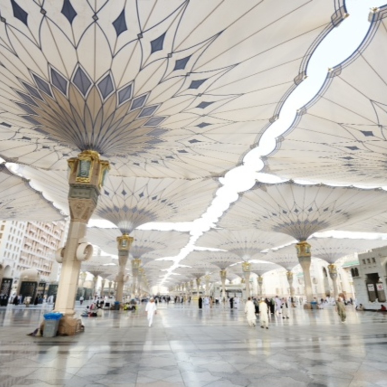 المدينة المنورة