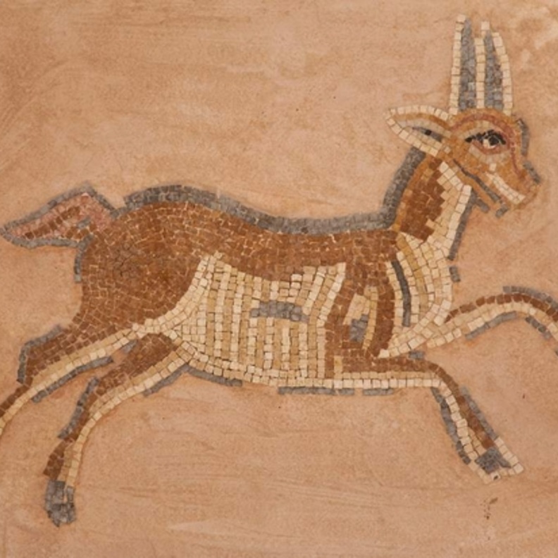 A mosaic in Madaba, Jordan.