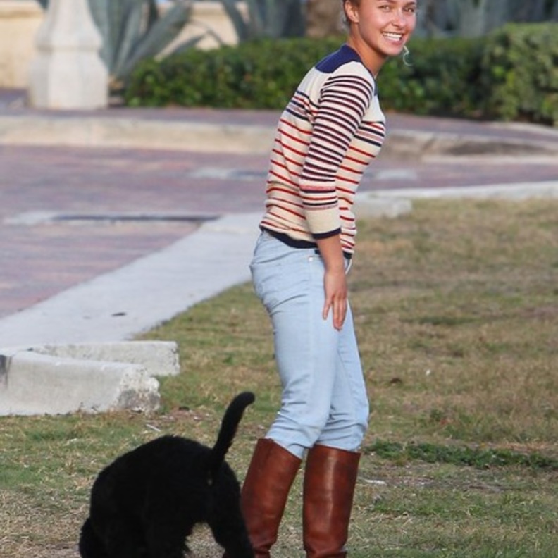 Hayden Panettiere مع كلبها في ميامي