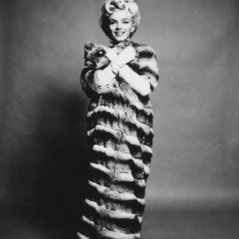 Marilyn in Chinchilla