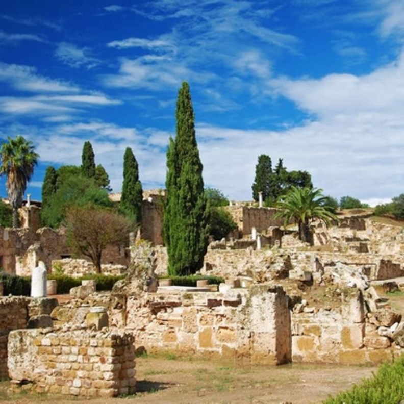 ruins of roman villas in Carthage