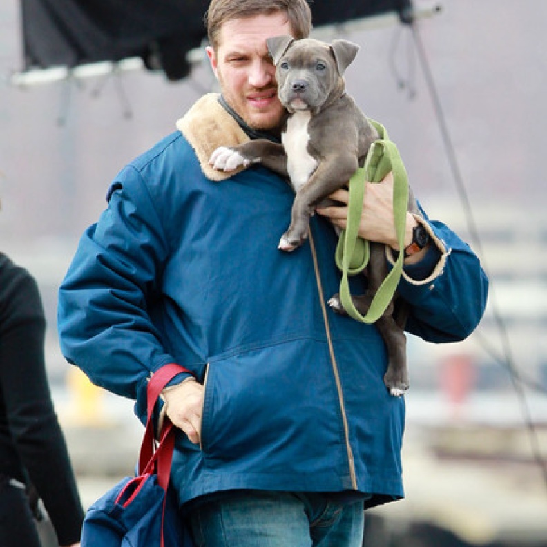 الممثل البريطاني Tom Hardy مع كلبه