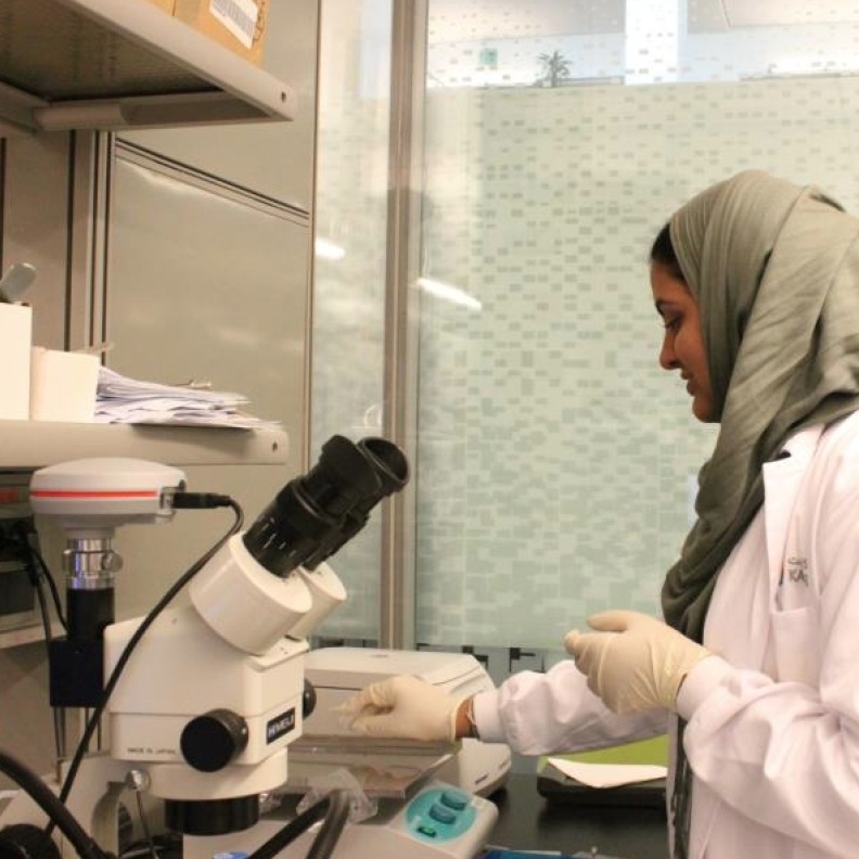 شيخة الشويخ تحضر بحثها