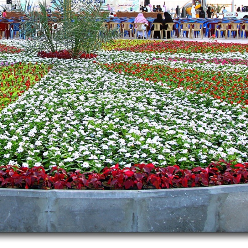 مهرجان الزهور